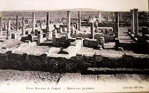 Timgad 100
